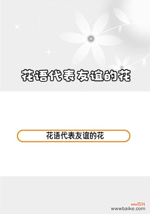 哪种花代表“我等你”的花语？