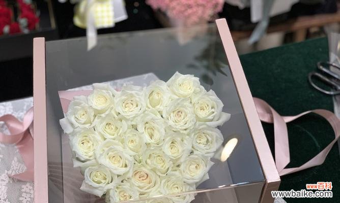 白玫瑰配上白色包装代表了什么？它在送礼时意味着什么？