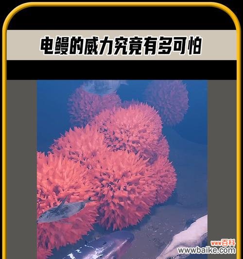 水稻里面的电鳗是什么意思？这种现象如何解释？