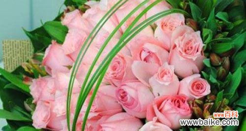 解读玫瑰花朵数所代表的不同涵义 玫瑰花朵数的隐含含义