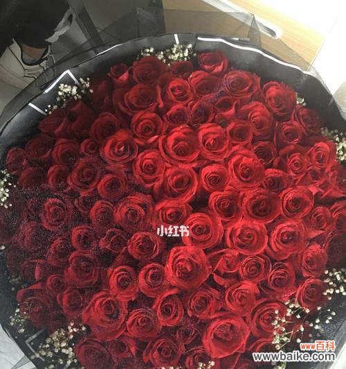 探究不同朵数玫瑰花的情感含义 玫瑰花几朵表达的含义