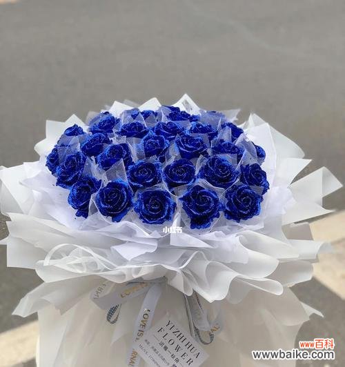 探索蓝色玫瑰的神秘世界 蓝色玫瑰花的象征意义