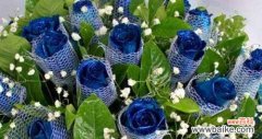 探索蓝色玫瑰的深意与象征 以蓝色玫瑰花语代表什么意思