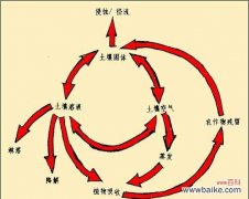 非农药增白剂的作用是什么？它对环境有何影响？