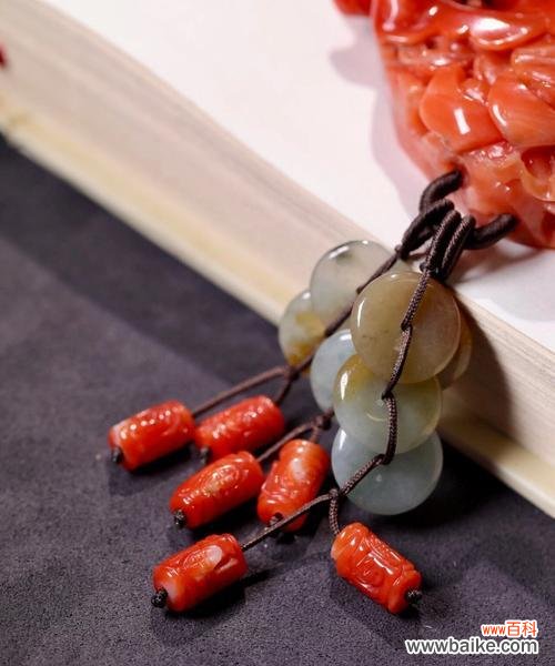 珊瑚花的寓意是什么？