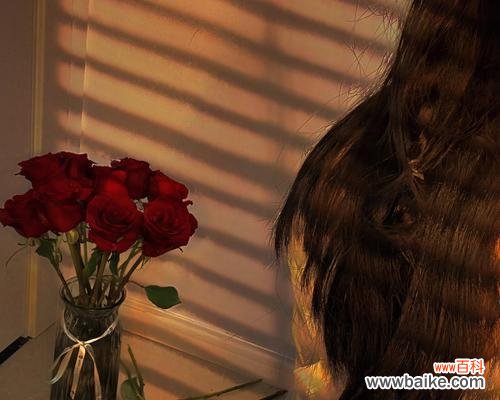 男子胸口插玫瑰花的象征意义是什么？