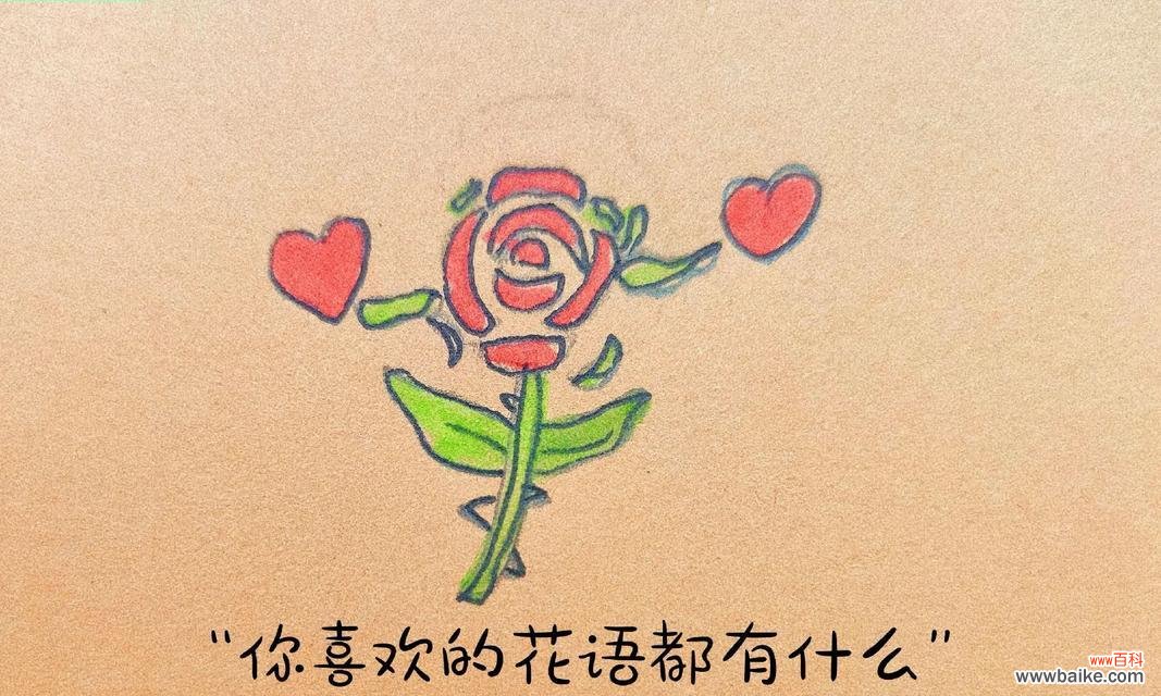 哪种花的花语代表“我想你”？如何通过花语表达思念之情？