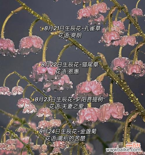 哪种花的花语代表“我想你”？如何通过花语表达思念之情？