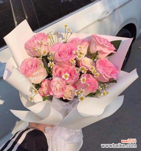 拈一束白玫瑰的含义是什么？