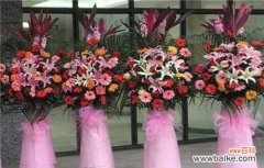 探寻情感、友谊与激励的意义 3朵玫瑰的花语含义剖析