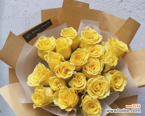 黄玫瑰花代表什么，探究其深层含义 黄玫瑰花的象征意义