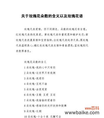 探寻18朵玫瑰花所蕴含的深刻含义 18朵玫瑰花的寓意及花语