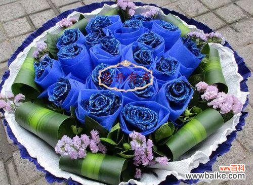 探寻蓝色妖姬玫瑰花的神秘之美 蓝色妖姬玫瑰花的意义与象征