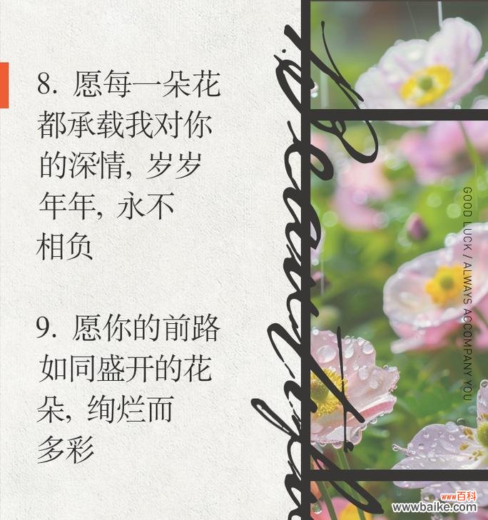 相亲时送玫瑰花有何深意?它传递了什么信息?