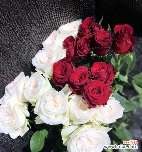 白玫瑰10元一束什么意思?这是什么寓意?
