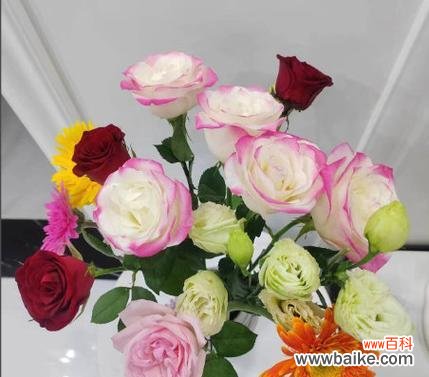 白玫瑰10元一束什么意思?这是什么寓意?