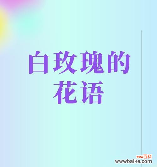 送男闺蜜10朵白玫瑰代表什么？这种行为有何深层含义？