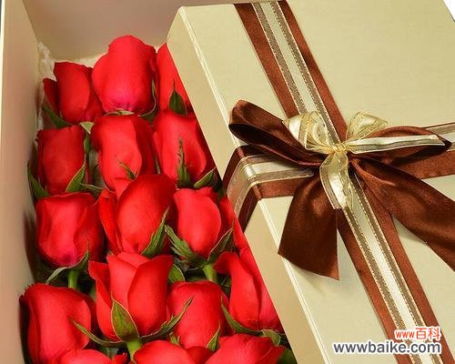 爱意浓浓,情深意长 19朵红玫瑰的花语