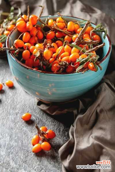 沙棘是一种什么植物,沙棘的植物是啥样的