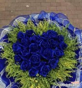 蓝色玫瑰，悄然绽放的神秘与美丽 深入了解蓝色玫瑰花的花语