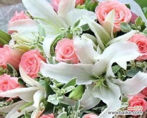 十一朵爱莎加两朵百合的花语是什么？这种组合传达了什么信息？