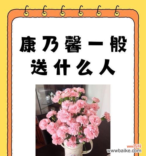 送康乃馨给母亲有何特殊含义?它传递了怎样的情感?