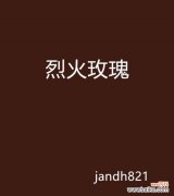 火玫瑰花在男性友谊中象征着什么？