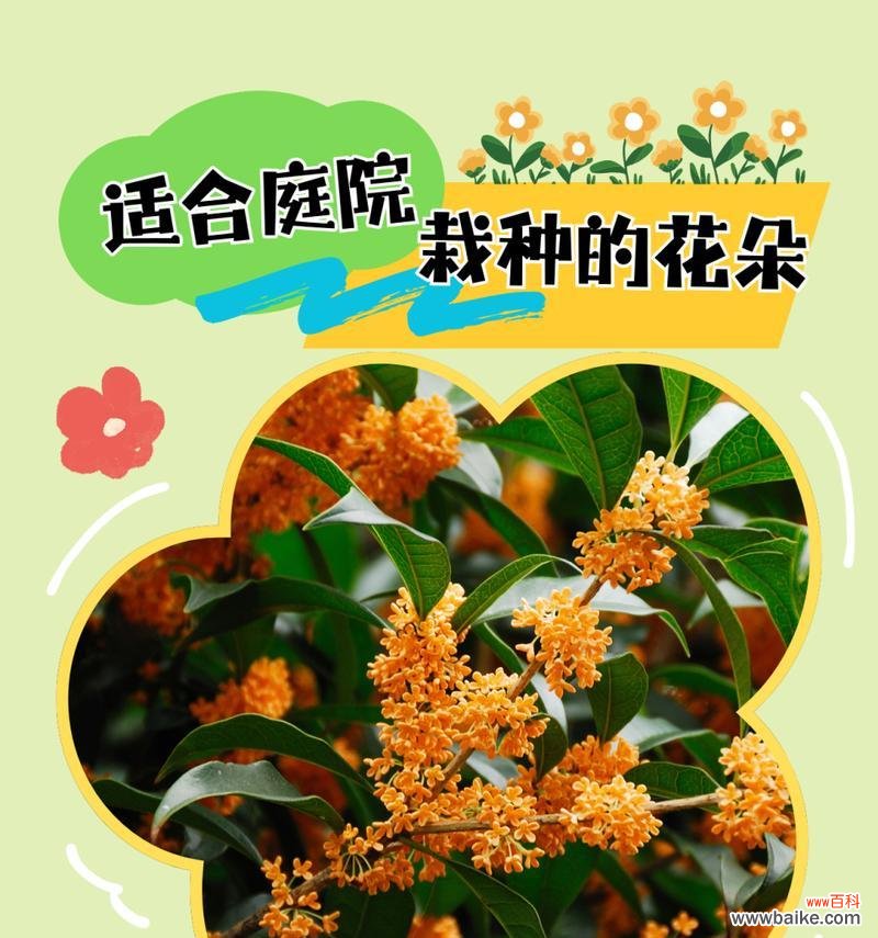 寓意好庭院花卉的名字有哪些?哪些花卉适合种植在庭院中?