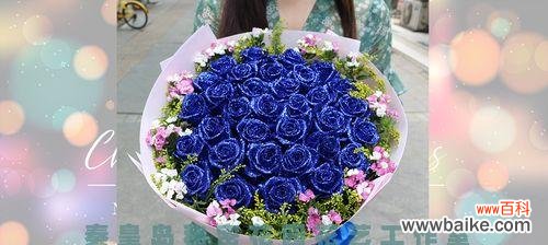 揭秘花色奇特的蓝色玫瑰花 蓝色玫瑰花的花语