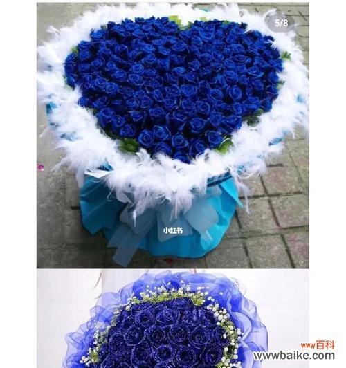 揭秘花色奇特的蓝色玫瑰花 蓝色玫瑰花的花语