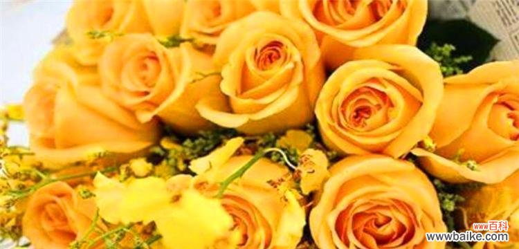 探究黄色玫瑰的花语及文化内涵 黄色玫瑰的象征意义