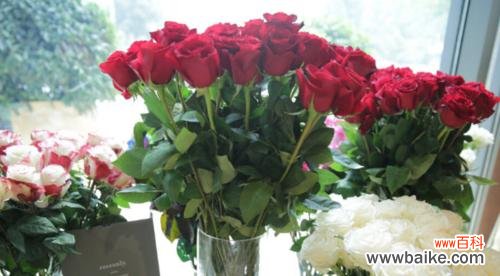 玫瑰花的神秘语言和心灵意义 两朵玫瑰的象征意义