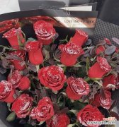 玫瑰花今天就谢了有何寓意？花期短暂的玫瑰花象征着什么？