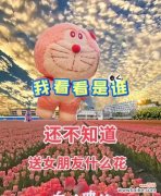 九枝白玫瑰加一支红玫瑰的花语是什么？