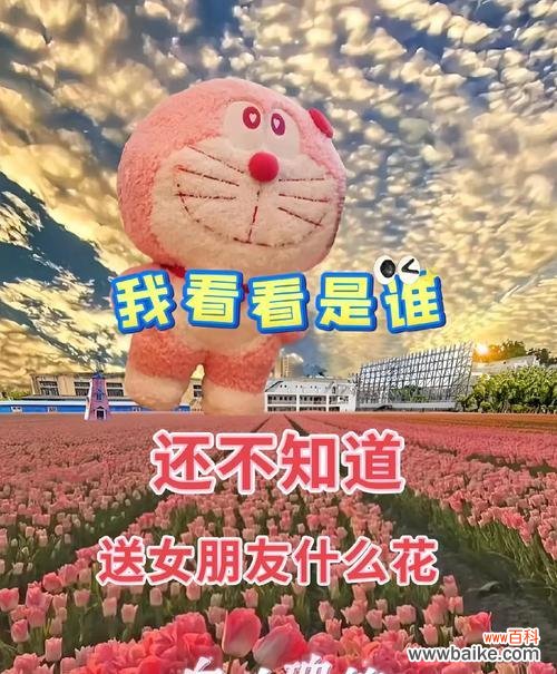 九枝白玫瑰加一支红玫瑰的花语是什么？