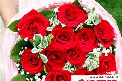 浪漫传递爱意的花语 十九朵红玫瑰的花语