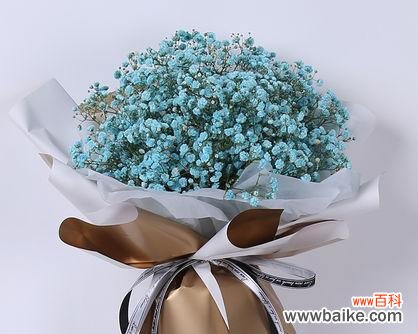 寄托浪漫情怀，祈愿美好未来 送满天星的含义与寓意