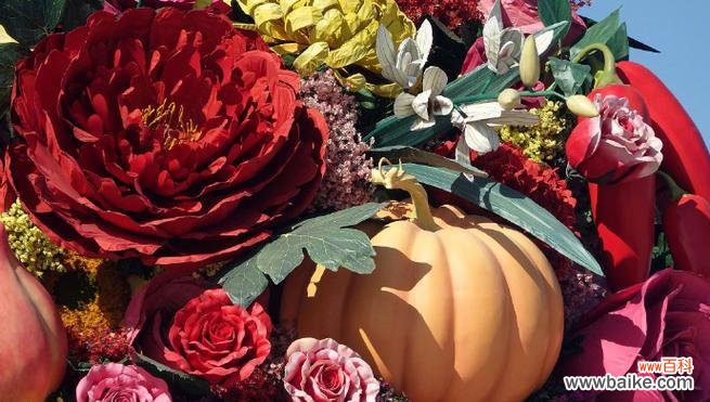 “了不起的花卉”是指什么？它有何特别之处？