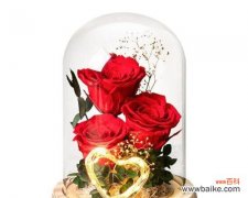 送惊喜玫瑰花代表什么？如何正确表达爱意？