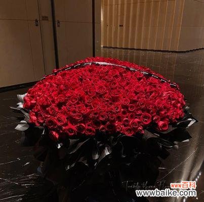 拾朵玫瑰花代表什么含义？在送花时拾朵玫瑰有何特别意义？