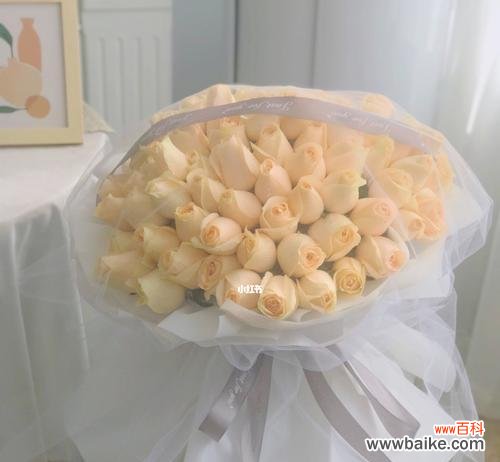 了解这朵花的背后故事 香槟玫瑰花的意义