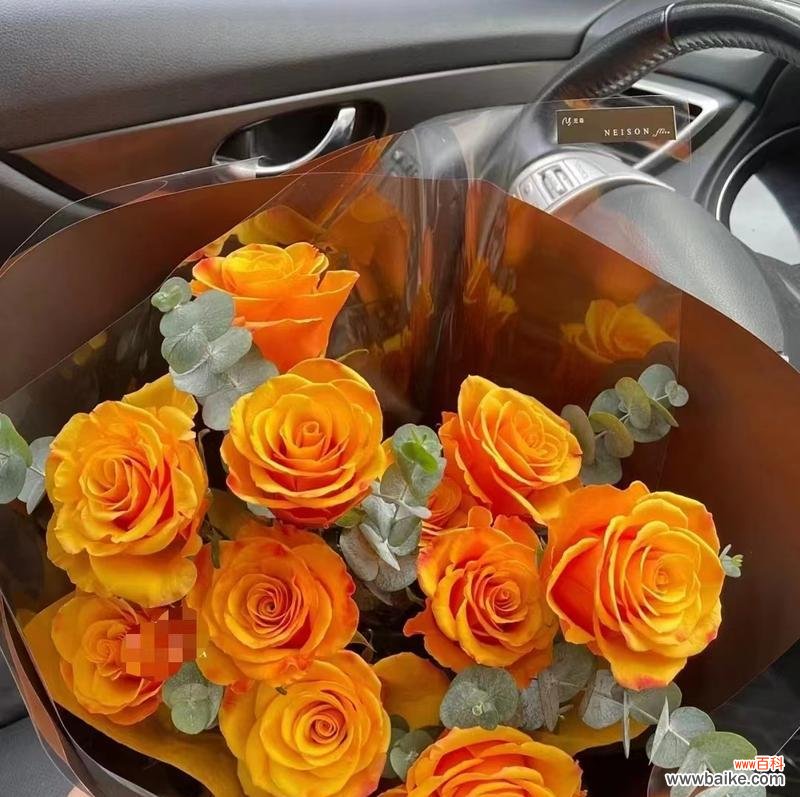 探索玫瑰花语的深度和神秘 橙色玫瑰花语与意义