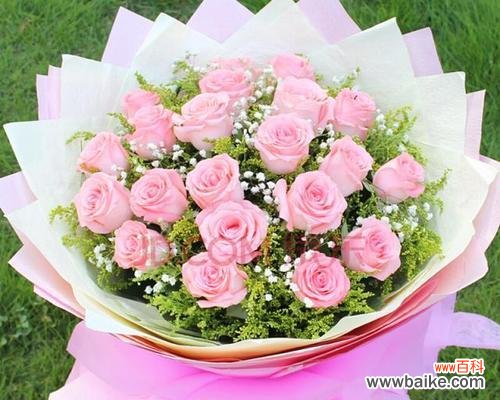 深入挖掘玫瑰的花语,了解每种玫瑰所代表的不同寓意 解读玫瑰花语