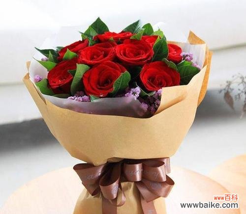 花开时，心扉开启——玫瑰花所承载的情感 11朵玫瑰花的寓意——传递爱与关怀