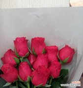 花开时，心扉开启——玫瑰花所承载的情感 11朵玫瑰花的寓意——传递爱与关怀