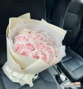 浪漫、珍贵、感激、关怀 19朵粉玫瑰的含义与代表意义