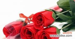 揭示玫瑰花背后的丰富内涵 六朵玫瑰的象征意义