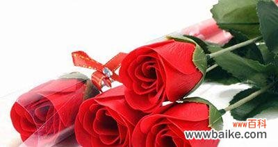 揭示玫瑰花背后的丰富内涵 六朵玫瑰的象征意义