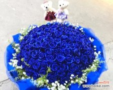 蓝色玫瑰花在车内摆放有何寓意？它象征着什么？