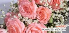 送花之前，了解花数的意义 玫瑰花数量的隐含含义